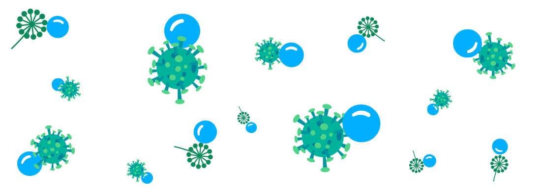 Ozone step 2